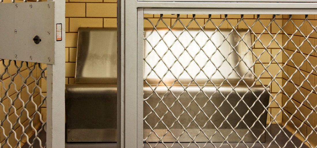 Forgiveness: The Key to Freedom or the Road to Ruin